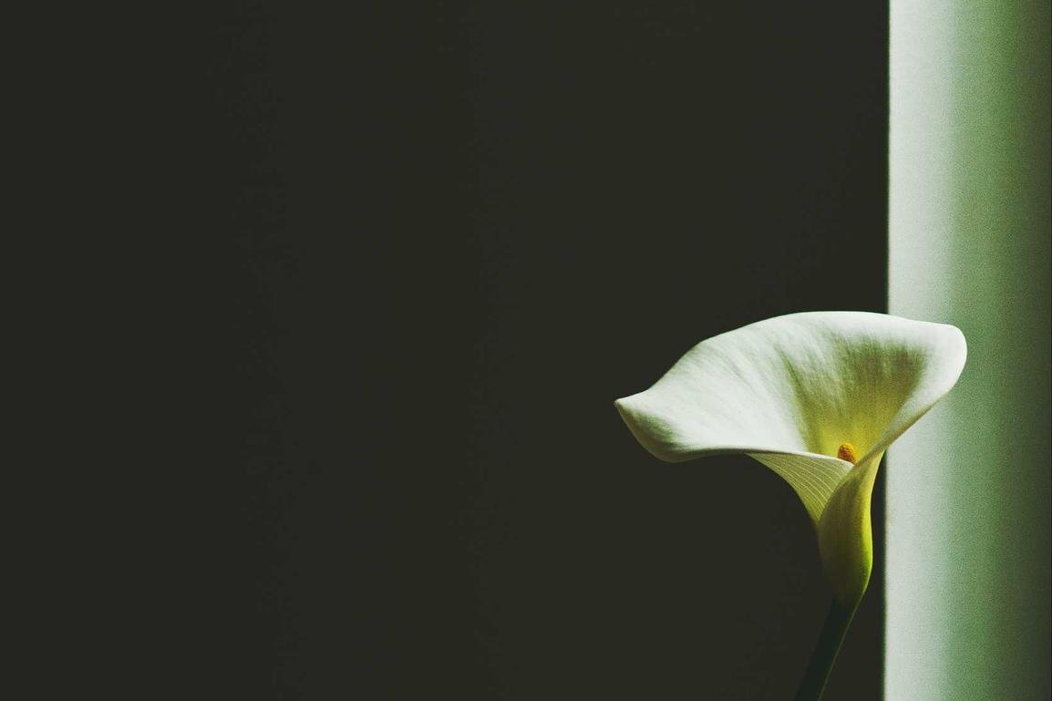 Aspernatur et iste odit eligendi accusamus